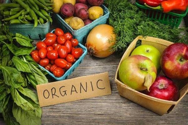 productos organicos